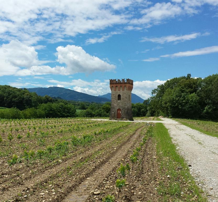 Trichiana Agriturismo Casteldardo 게스트하우스 외부 사진