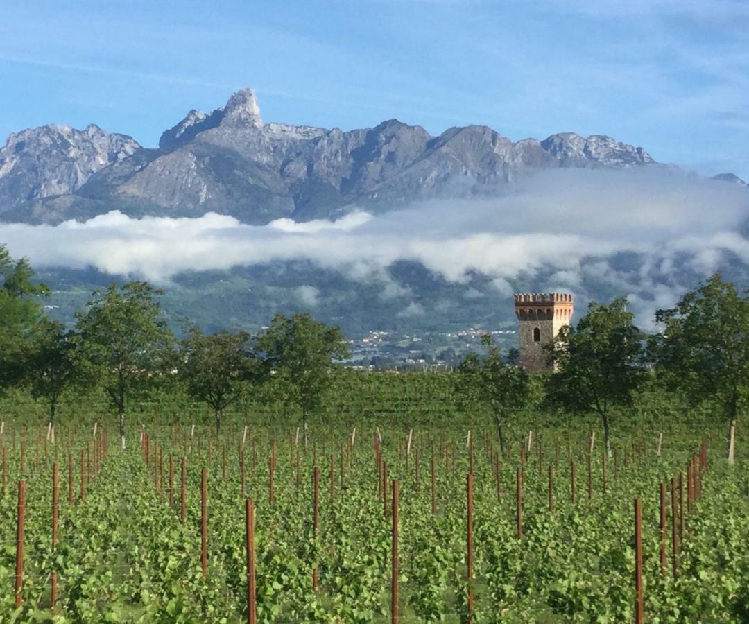 Trichiana Agriturismo Casteldardo 게스트하우스 외부 사진