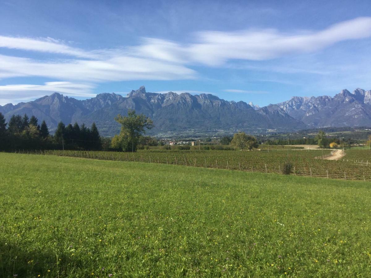 Trichiana Agriturismo Casteldardo 게스트하우스 외부 사진